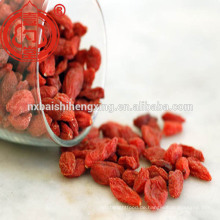 Berry goji China zertifizierte organische getrocknete ningxia goji Beerenobst Großhandel Distributor mit niedrigem Preis